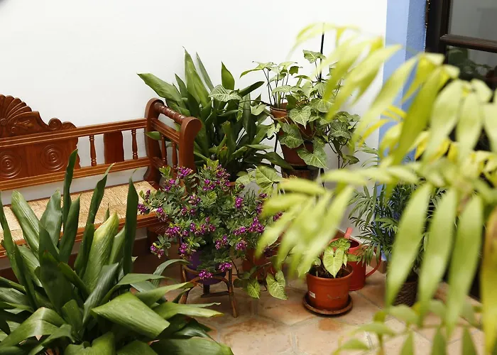 La Casa Del Rio Appartamento Cordova