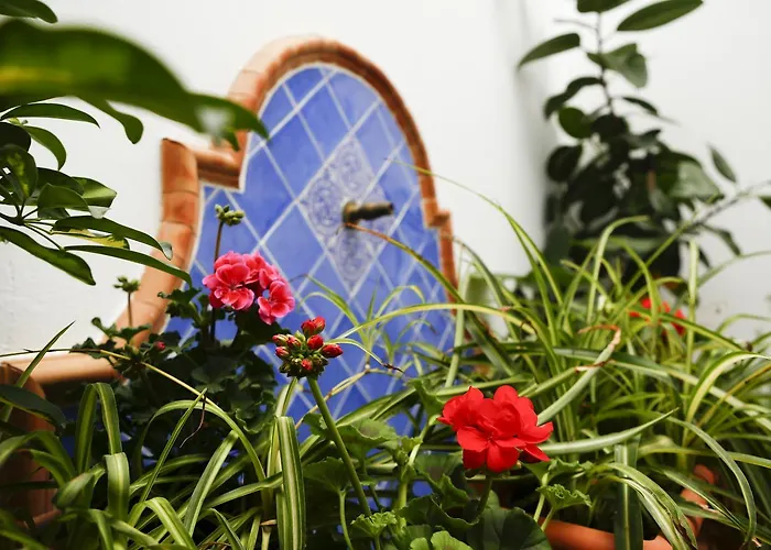 La Casa Del Rio * Cordoba