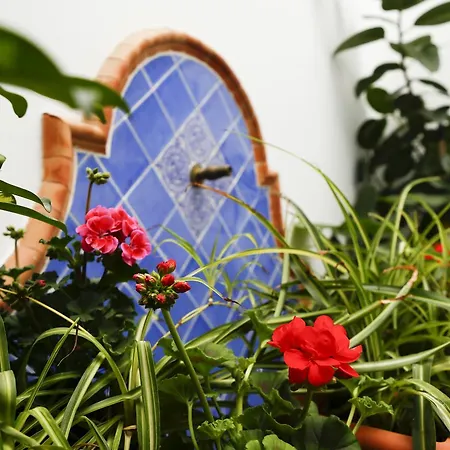 La Casa Del Rio * Cordoba