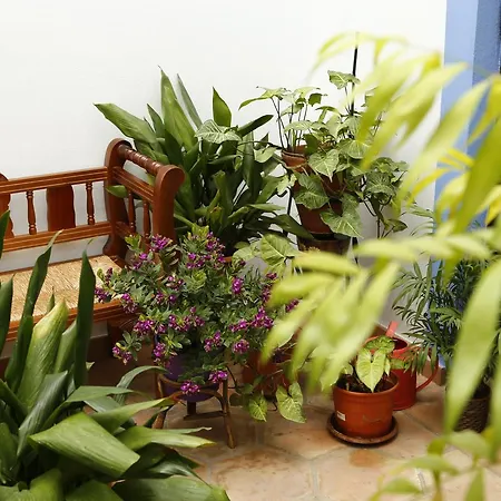 La Casa Del Rio Apartment Cordoba